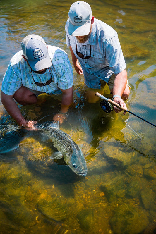 Give Stripers A Helping Hand: By T&T Ambassadors Dr. Andy Danylchuk & Sascha Clark Danylchuk