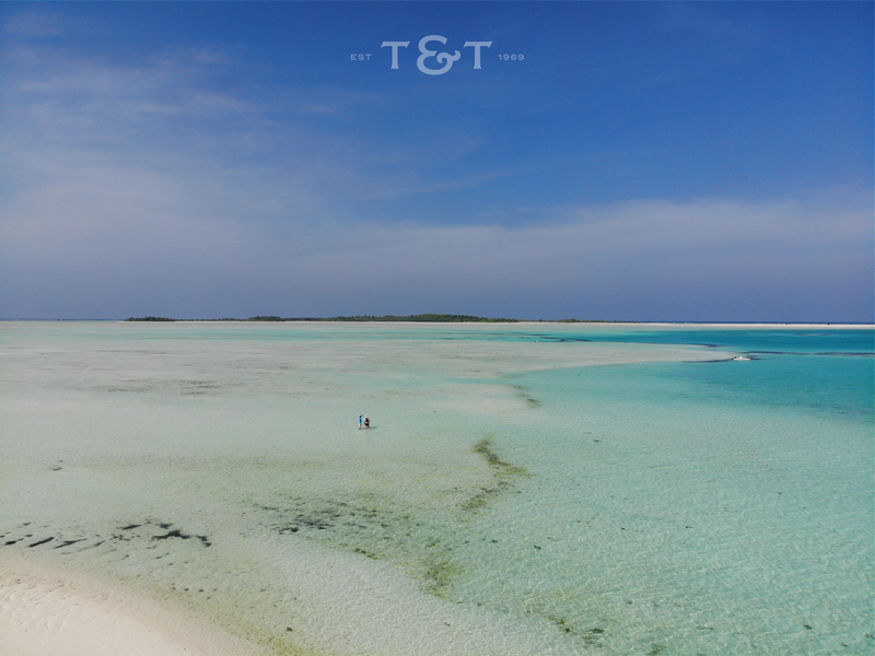 It's Not "Too Good to Be True" by T&T Ambassador Andy Danylchuk