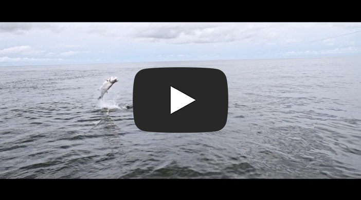 ATLANTICUS OUTTAKE SERIES #1