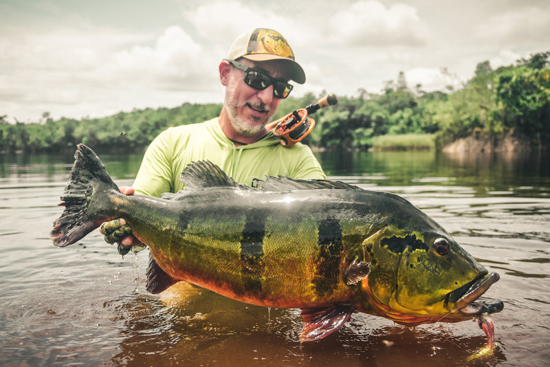 New world record for peacock bass!