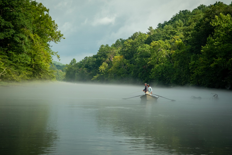 East Tennessee's Fly Fishing Gems: The South Holston and Watauga Rivers
