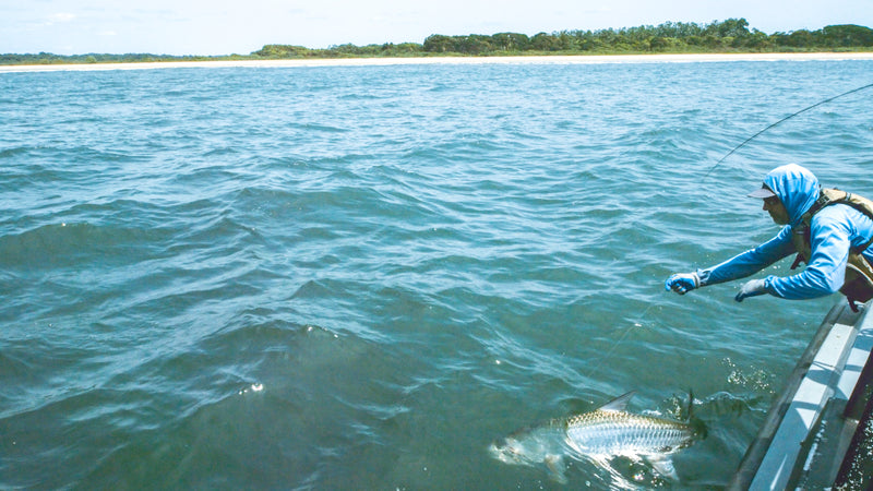 T&T Exocett: The Star of Atlanticus