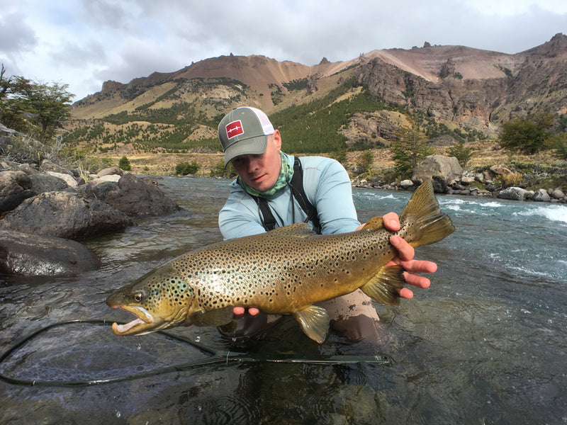 Rich Strolis Fly Tying Tutorial: "Infant Stone"