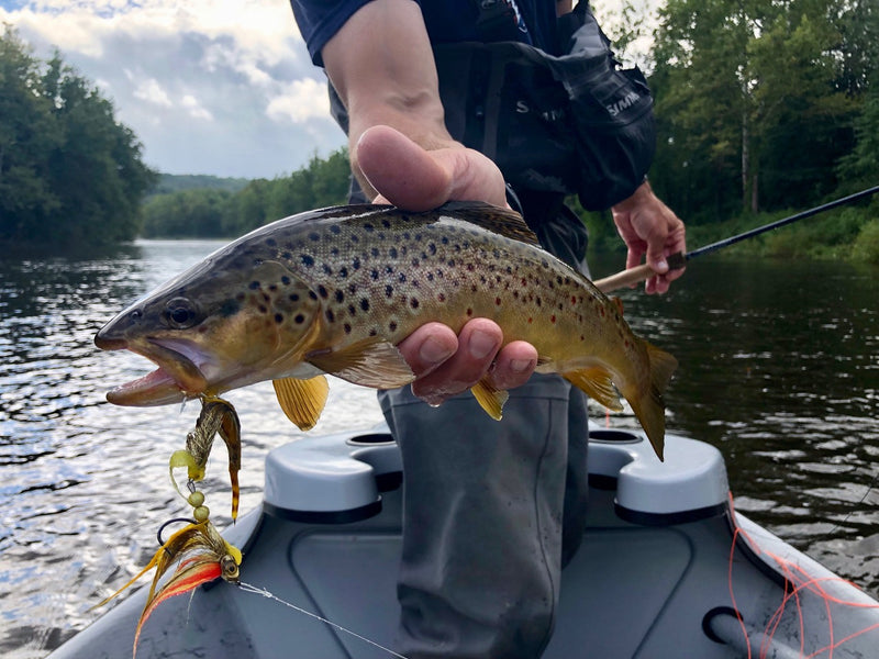 5 Streamer Fishing Tips From T&T Advisor Rich Strolis