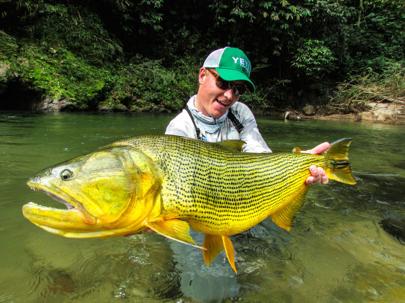 I live in upstate NY outside of Rochester and close to Sandy Creek and Oak Orchard. Need a reel for my Horizon HS 909 (9’ 9wt). Want to set up for the Lake Ontario Salmon, Steelhead and Large Browns. Thoughts on Reels? Thanks, Joe