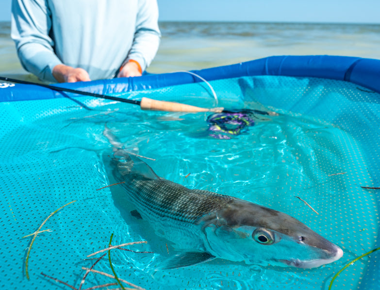 Tracking the Ghosts of the Flats: By Nick Roberts of The Bonefish & Tarpon Trust