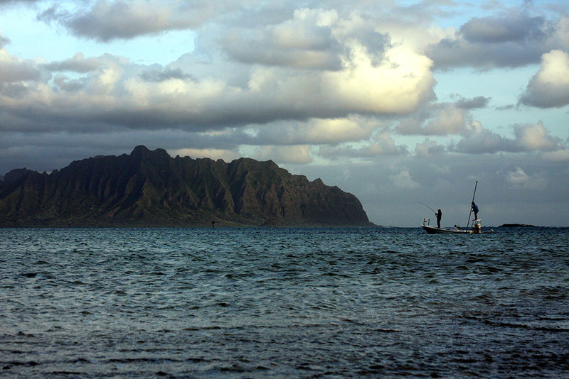 Our Wild Blue Frontier: Take action to protect our saltwater fisheries today