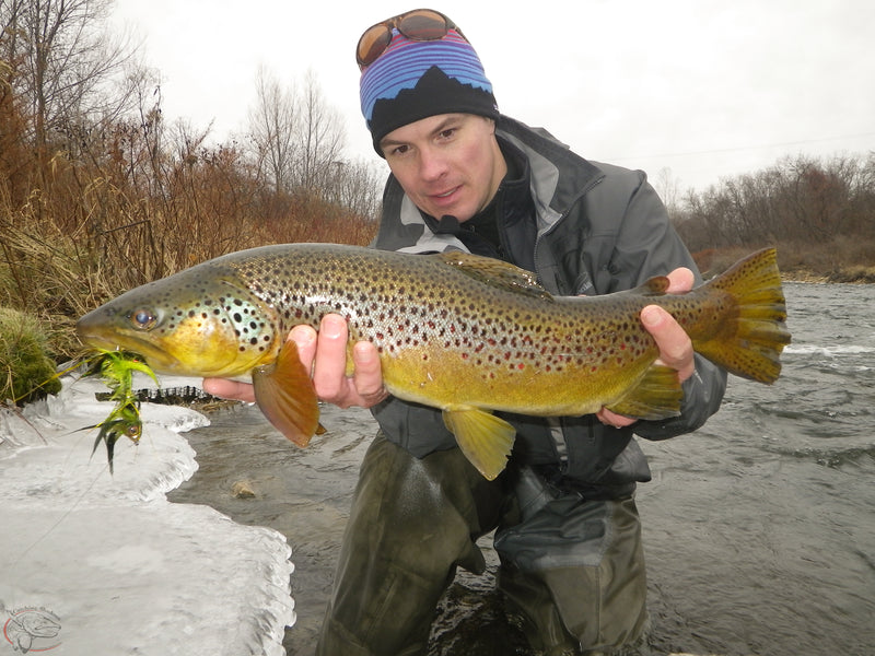 Welcoming Richard Strolis to The Thomas & Thomas Advisor Team