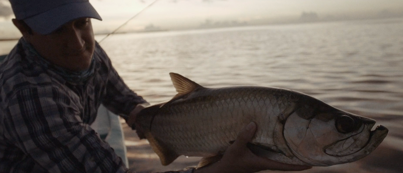 ATLANTICUS OUTTAKE SERIES #3