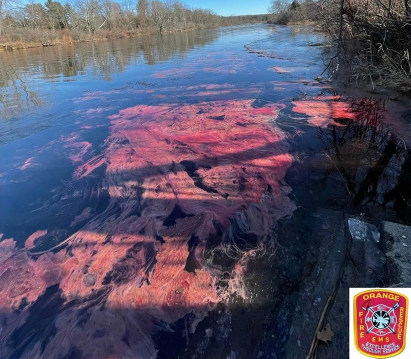 Oil Spill in Our Backyard!