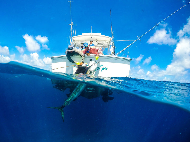Loophole Closed in the Billfish Conservation Act: By Brian Beaton