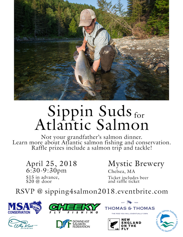 Sippin Suds for Atlantic Salmon