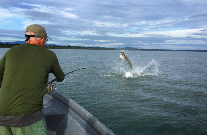 Featured T&T Conservationist: The Mega-Crusade of Dr. Mike Fay