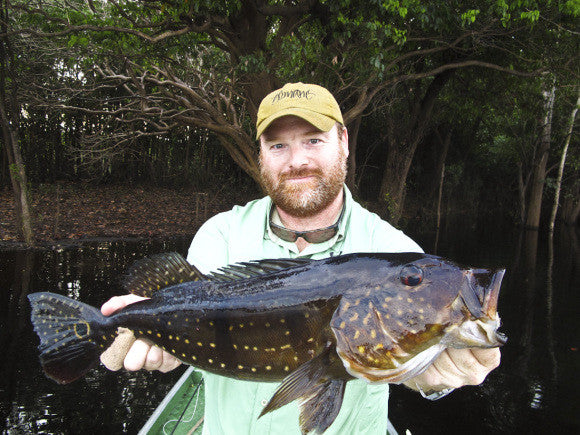 Peacocks in Paradise