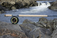 Thomas & Thomas Rods & Accessories - DNA Spey