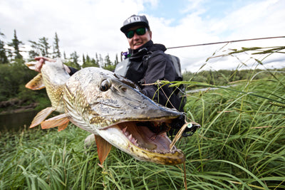 Thomas & Thomas Rods & Accessories - Jako Lucas with a pike caught on the Thomas and Thomas Exocett Predator fly rod.