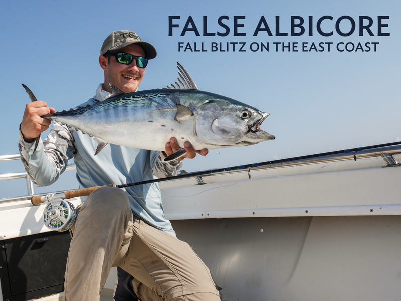 False Albacore | Fall Blitz on the East Coast by Ross Kessler