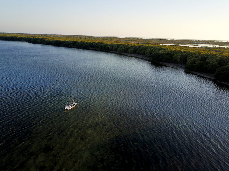 Funding Everglades Restoration: By Brian Beaton