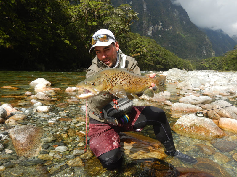 Paradigm Review: Thomas Barrand Takes The Paradigm 9' 4wt to New Zealand