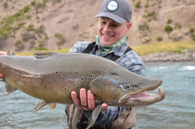 Rich Strolis, Streamer Jedi, Explains Grain Weights and The Exocett SS Series