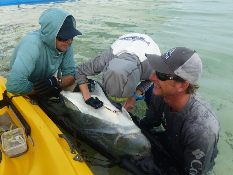 The Launch: By T&T Conservation Ambassador Andy Danylchuk