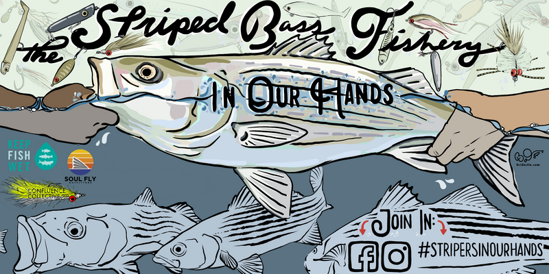 Stripers in Our Hands