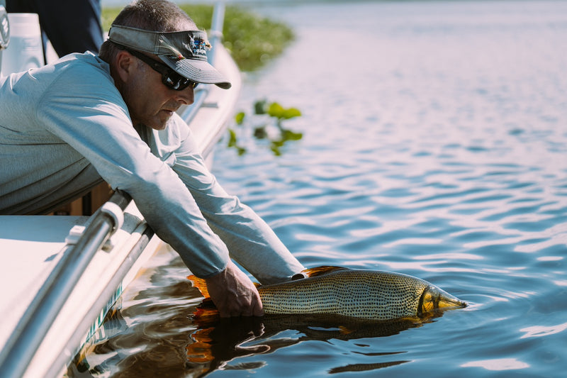 Exploring Golden Dorado Habitats: Conservation Research in Argentina's Paraná River and Iberá Wetlands