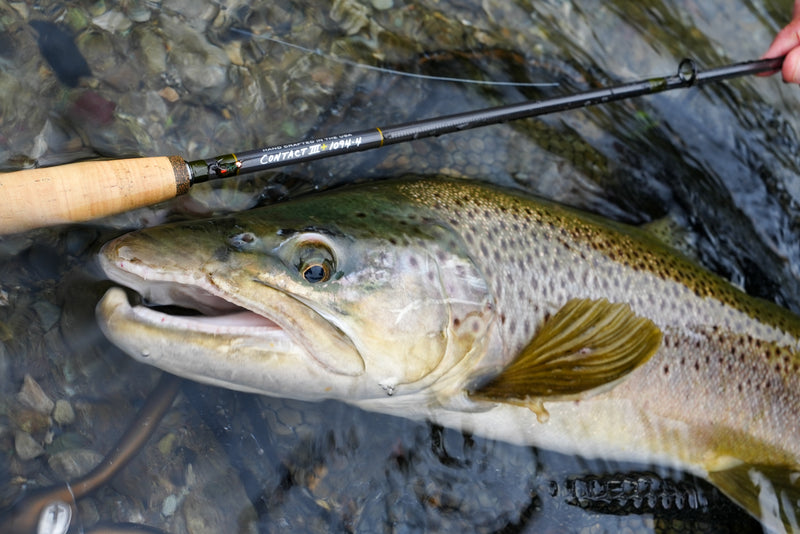Thomas & Thomas | Hand-Made Fly Rods | High-Quality Fly Fishing Rods
