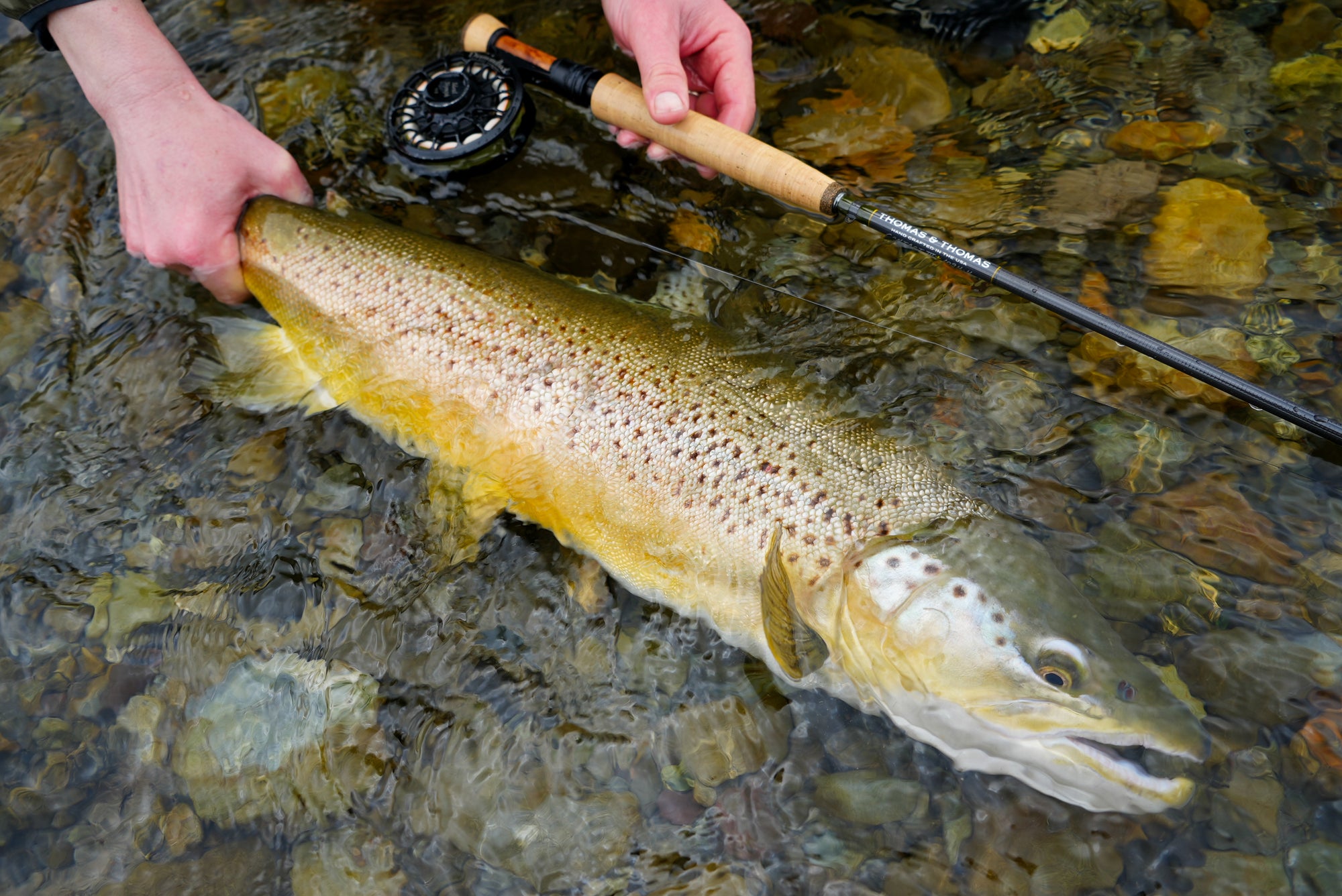 best fly fishing nymphings rods Thomas & Thomas