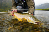 Thomas & Thomas Rods & Accessories - -COMING SOON- Contact III+ Technical Nymphing Rods