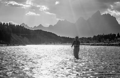Thomas & Thomas Rods & Accessories - A fly fisherman casts the Avantt II in Wyoming's Snake River, with the Tetons in the distance.