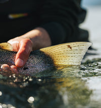 Thomas & Thomas Rods & Accessories - DNA Spey