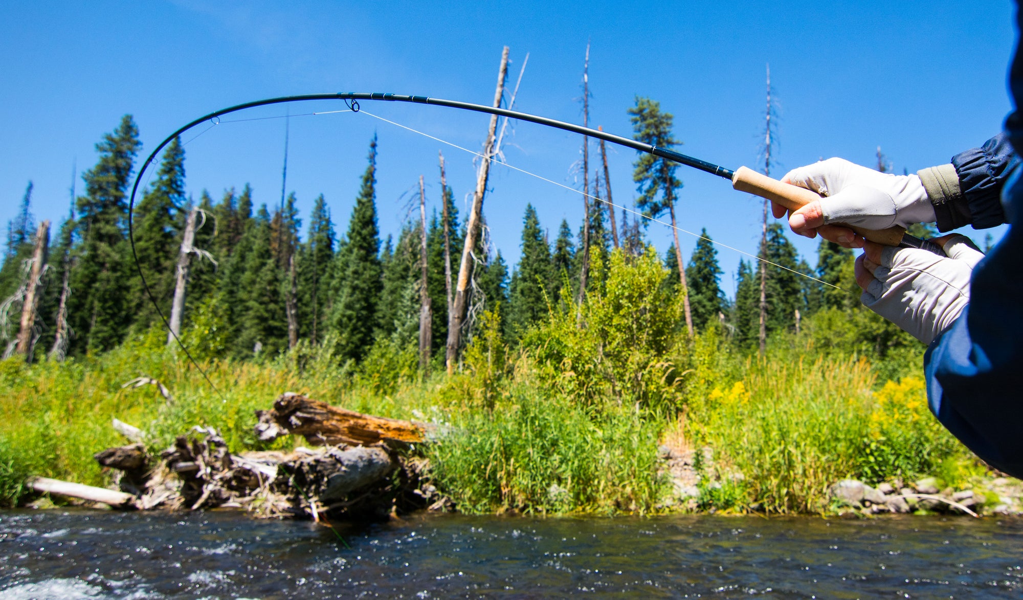 Montana Fly Fishing Skills: Learn How to Cast a Fly Rod - Montana Angling  Company